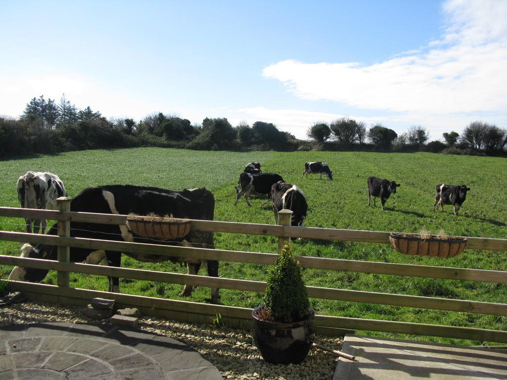 Farmstead Lodge B&B Beaufort Buitenkant foto